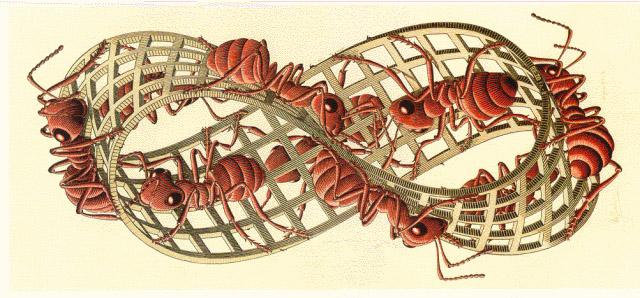 Escher i la banda de Moebius