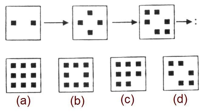 mensa-test-answers