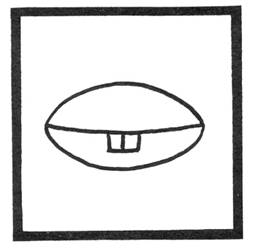 clam.jpg